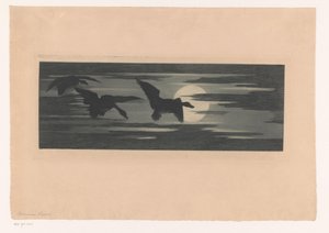 Drei Enten fliegen entlang des Sonnenuntergangs