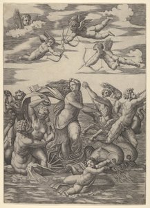 Galatea steht in einem Wasserwagen, gezogen von zwei Delfinen, umgeben von Tritonen, Nereiden..., 1515-16