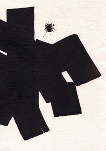 Schwarz von Marco Campedelli