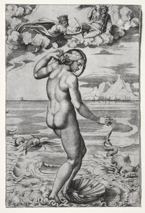 Die Geburt der Venus von Marco Dente