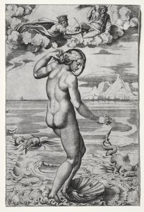 Die Geburt der Venus von Marco Dente