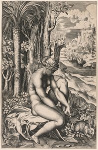 Venus, von einem Rosendorn verwundet, um 1516