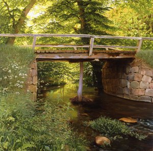 Ein Waldstrom mit einer Holzbrücke
