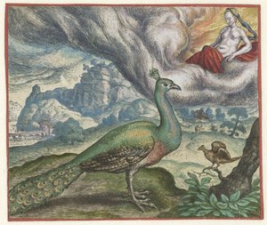 Fabel vom Pfau und der Nachtigall