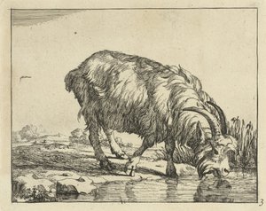 Trinkender Bock von Marcus de Bye