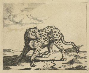 Leopard, nach links stehend, Kopf nach rechts (Serie: Leoparden) von Marcus de Bye
