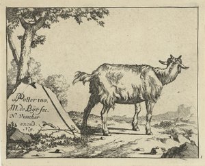 Stehende Ziege von hinten gesehen von Marcus de Bye