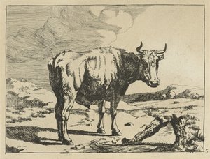 Stier stehend bei einem Baumstumpf von Marcus de Bye