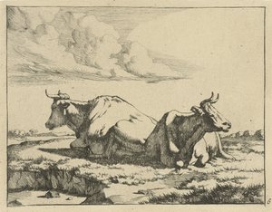 Zwei liegende Kühe von Marcus de Bye