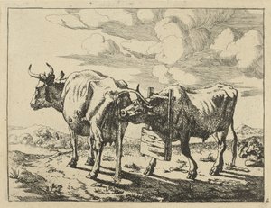 Zwei stehende Kühe von Marcus de Bye