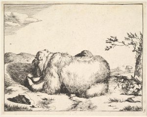 aus der Serie Die Bären, ca. 1664