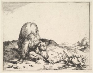 aus dem Set der Bären, ca. 1664 von Marcus de Bye