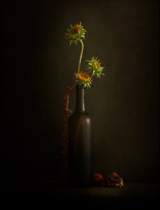 Stimmungsvolle Sonnenblume Stillleben