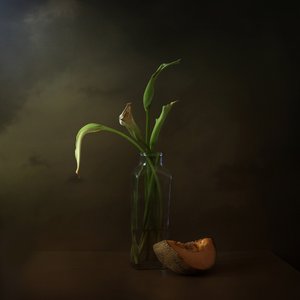 Verwelkte Lilien und Melone