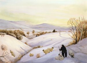 Schafe auf dem Grat von Margaret Loxton
