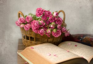 Gemütliches Lesen mit Rosen von Margareth Perfoncio