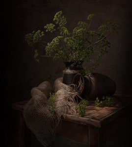 Dunkles Botanisches Stillleben von Margareth Perfoncio