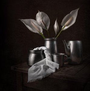 Elegante Friedenslilien von Margareth Perfoncio