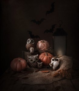 Halloween-Eulen und Kürbisse von Margareth Perfoncio
