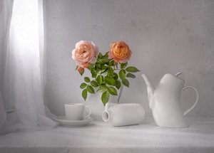 Morgenrosentee von Margareth Perfoncio