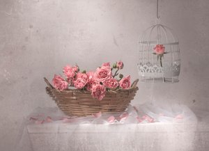 Rosa Rosen und Vogelkäfig