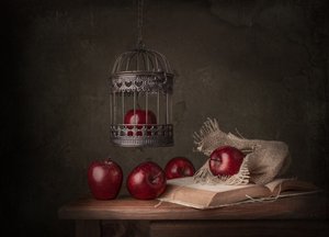 Rustikale Äpfel und Buch von Margareth Perfoncio