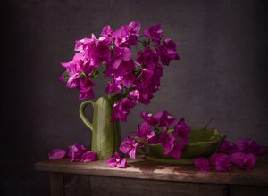 Lebhafte Bougainvillea Stillleben von Margareth Perfoncio
