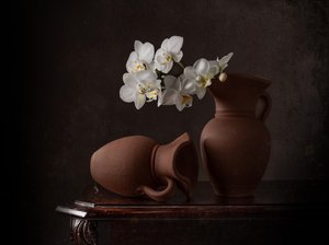 Weiße Orchideen Stillleben von Margareth Perfoncio
