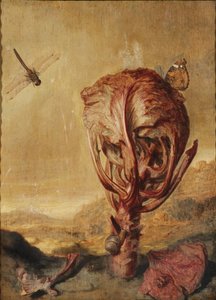 Ein Rotkohl, eine Schnecke, ein Schmetterling, eine Libelle, eine Biene und eine Assel in einer Landschaft von Margarethe de Heer