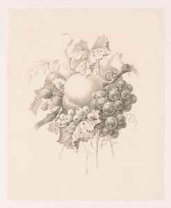 Komposition von Früchten von Maria Geertruida de Goeje Barbiers (attributed to)