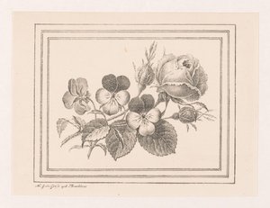 Roos en viooltjes von Maria Geertruida de Goeje Barbiers
