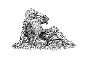 Rip Van Winkle