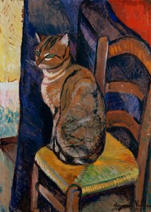 Studie einer Katze, die auf einem Stuhl sitzt