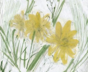 Gänseblümchen, 2020 von Marina Falco
