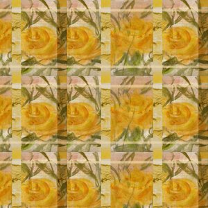 Fantasie mit Rosen von Marina Falco