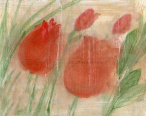 Rote Tulpen
