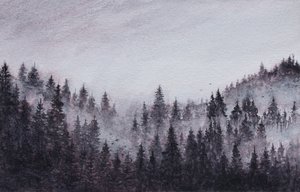 Neblige Waldlandschaft von Marina Kozyr