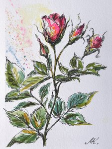Rosa Rosenknospen - botanische Skizze in Tusche und Aquarell