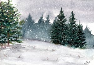 Verschneiter Winterwald