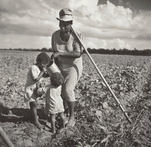 Schwarze Frau gibt ihren Kindern ein Getränk auf dem Feld, wo sie Baumwolle auf einem FSA-Kooperationsprojekt hackt (Allen Plantation)