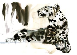 Arabischer Leopard, 2008