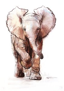 Baby-Elefant, Loisaba, 2018 von Mark Adlington