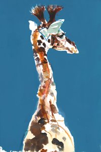 Baby-Masai-Giraffe