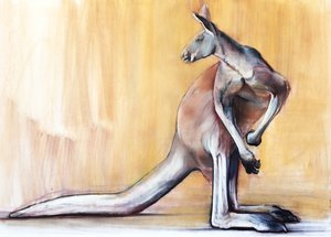 Großer Roter (Känguru), 2014 von Mark Adlington
