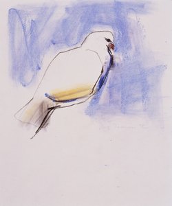 Taube, Trasierra, 1998