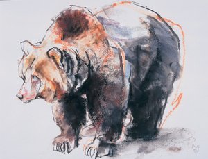 Europäischer Braunbär, 2001