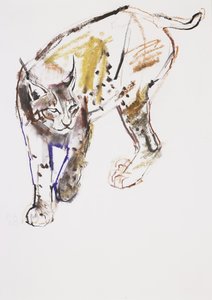 Europäischer Luchs
