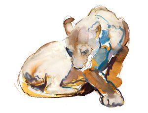 Feline Farbe (Löwin), 2020