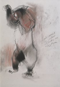 Grizzly, 1995