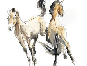 Reiten, 2013
